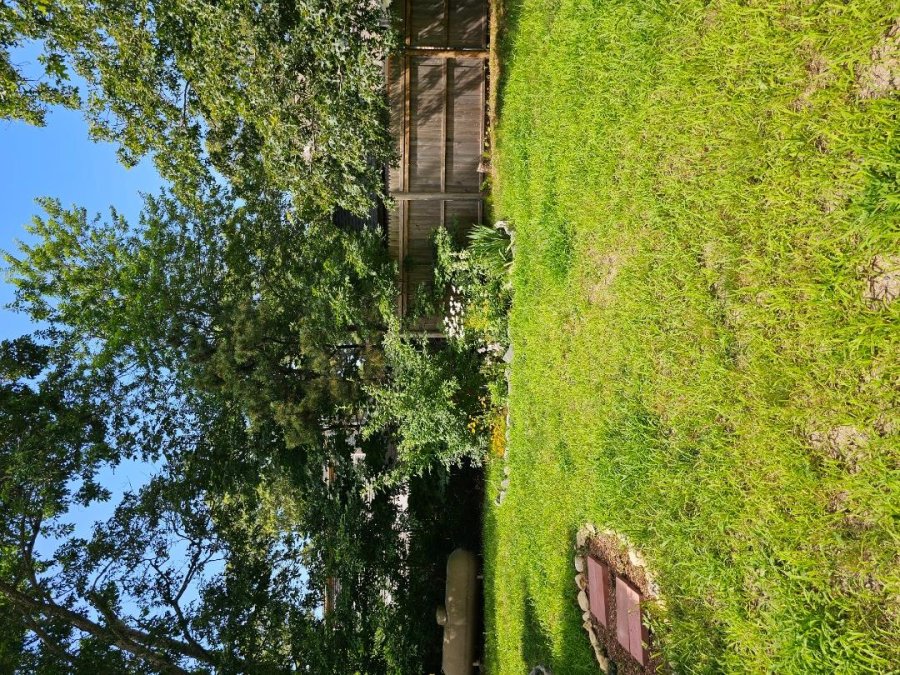 Property Photo 50