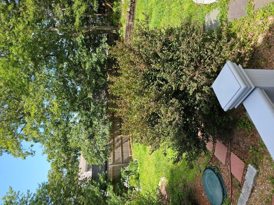 Property Photo 44