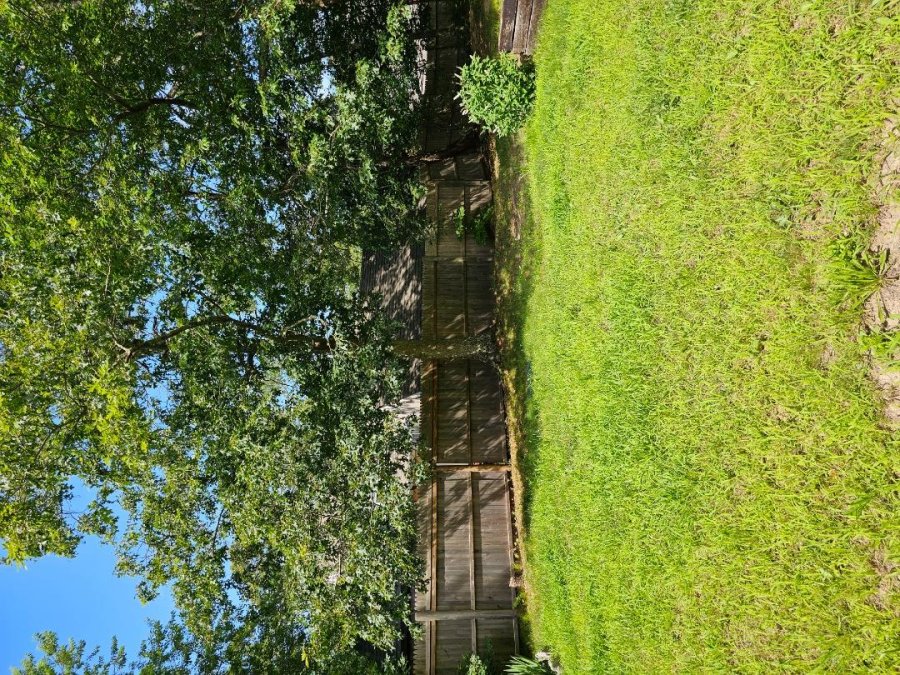 Property Photo 68