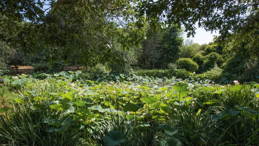 Property Photo 42