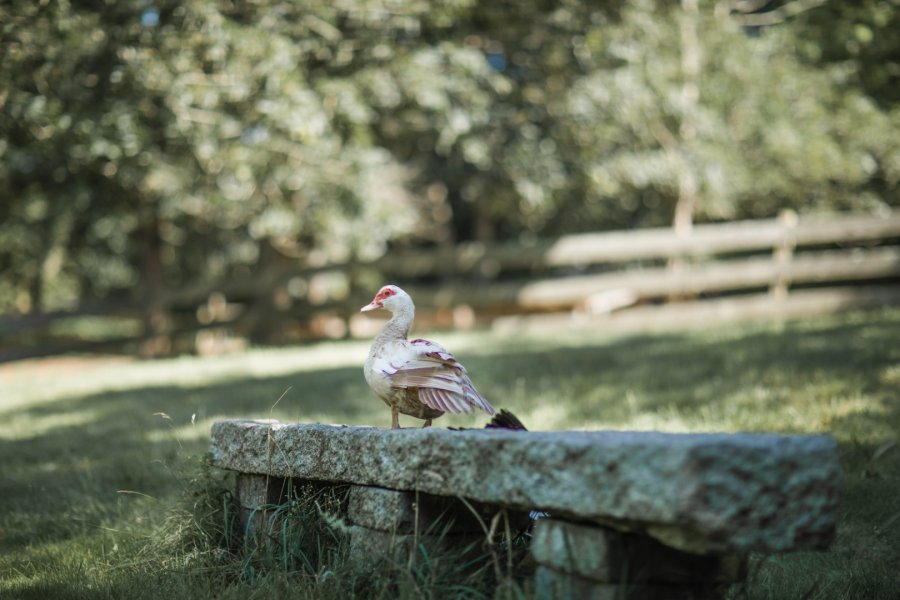 Property Photo 43
