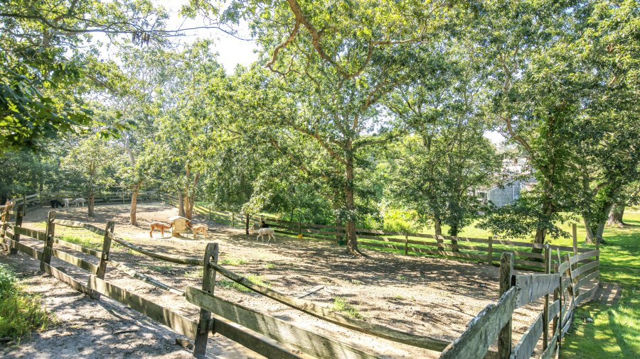 Property Photo 45