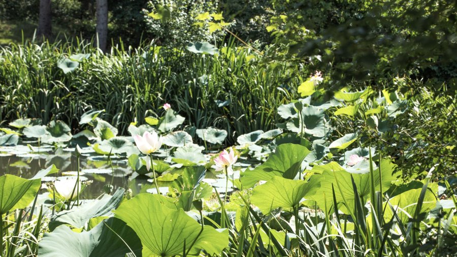Property Photo 44