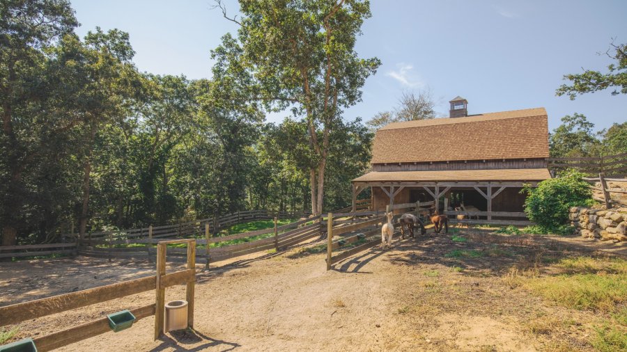 Property Photo 40
