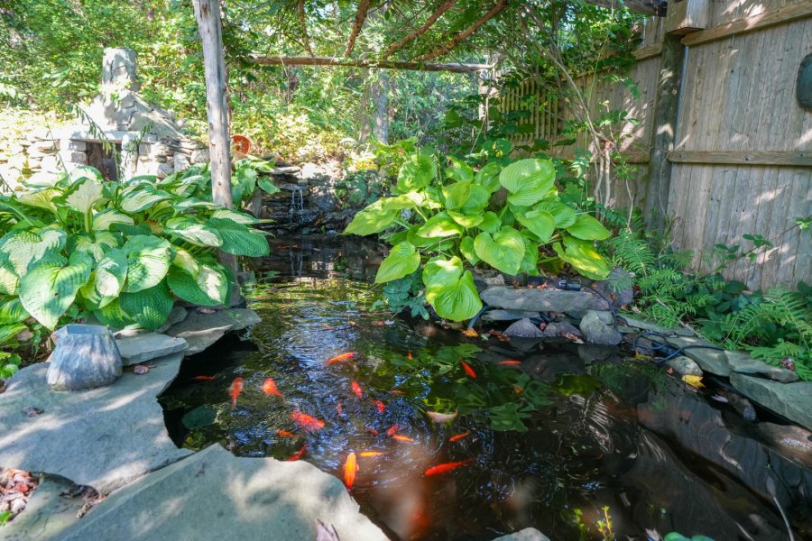 Property Photo 19