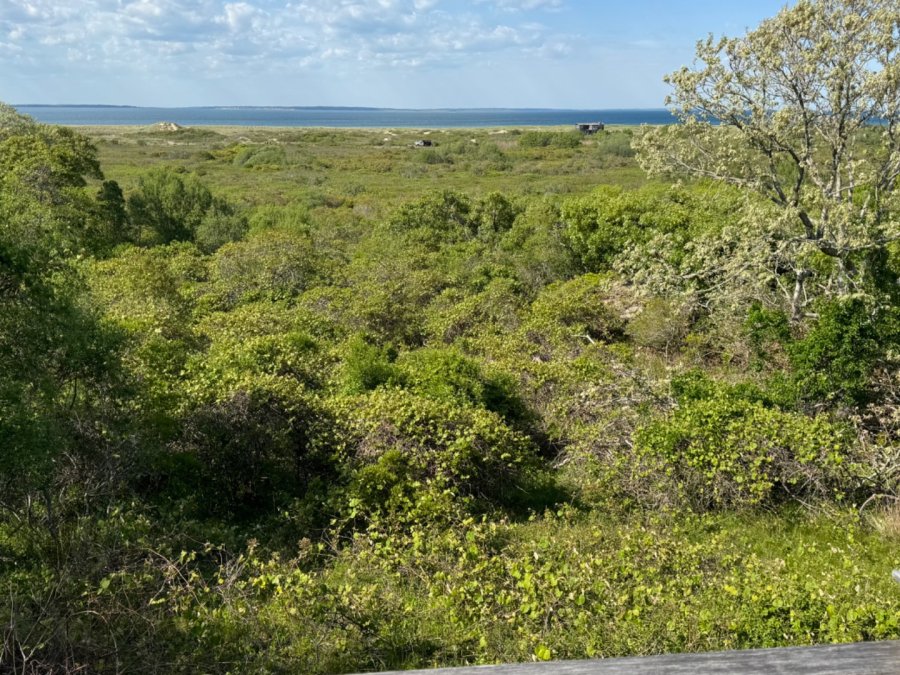 Property Photo 26