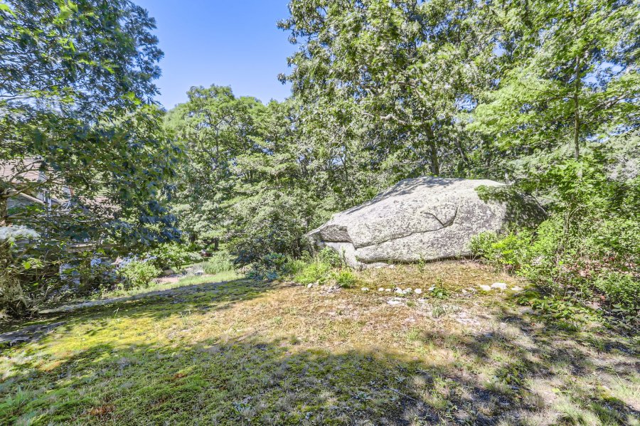 Property Photo 45