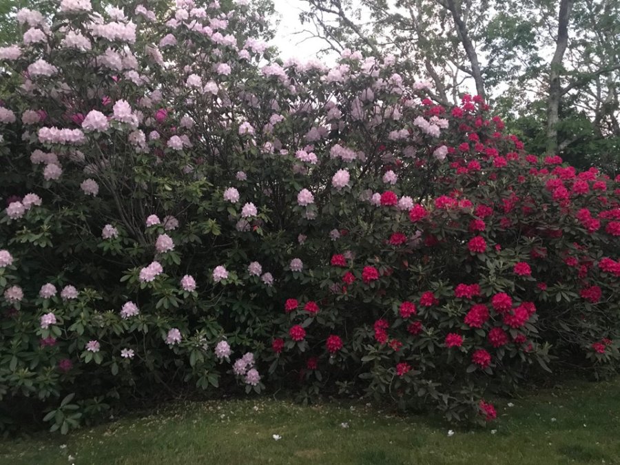 Property Photo 32