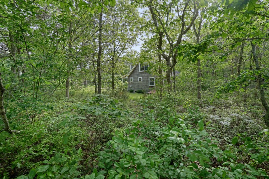 Property Photo 31