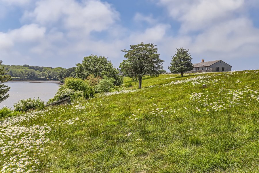 Property Photo 52