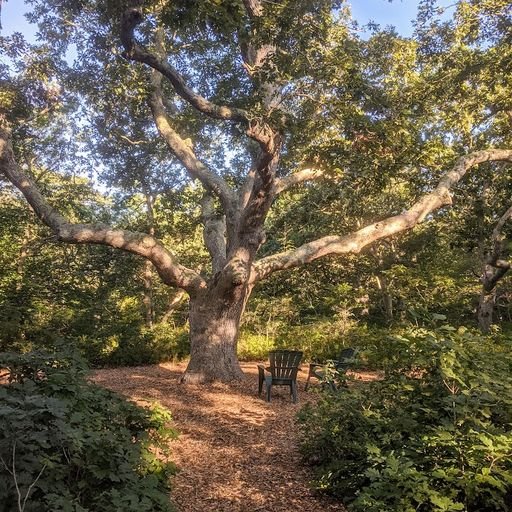 Property Photo 28