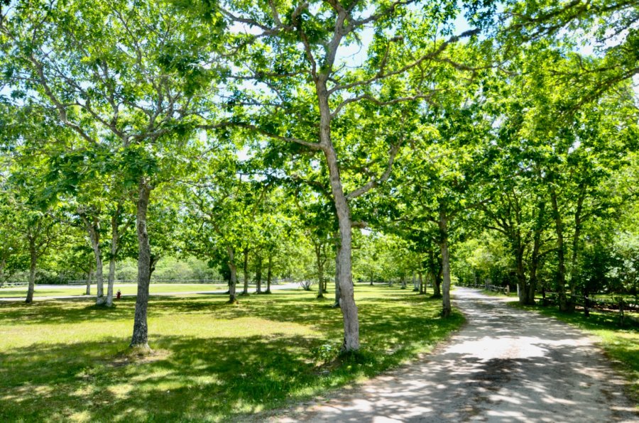 Property Photo 111