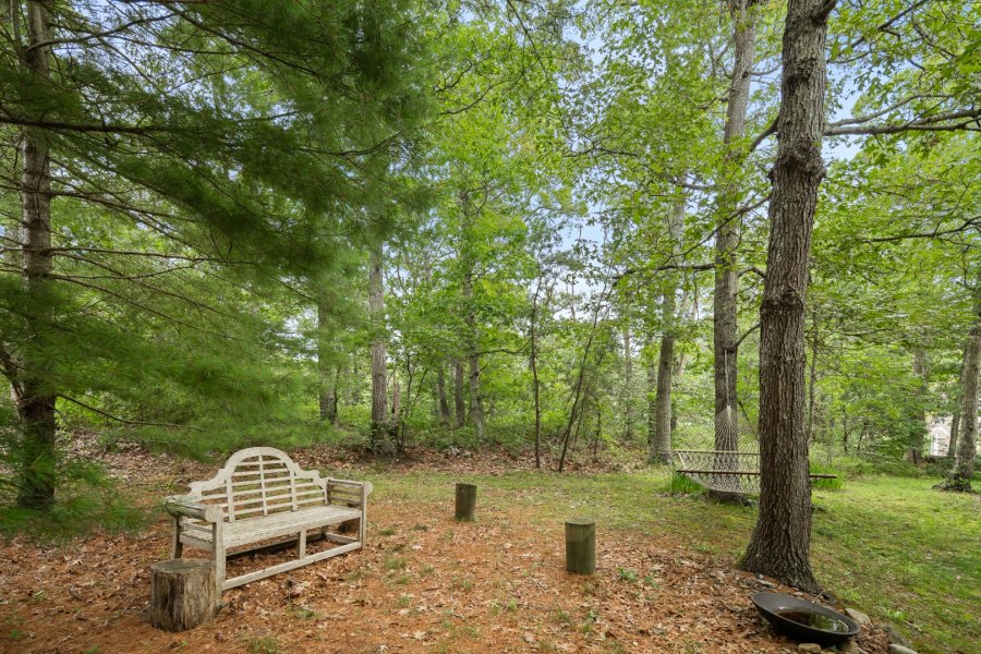 Property Photo 41