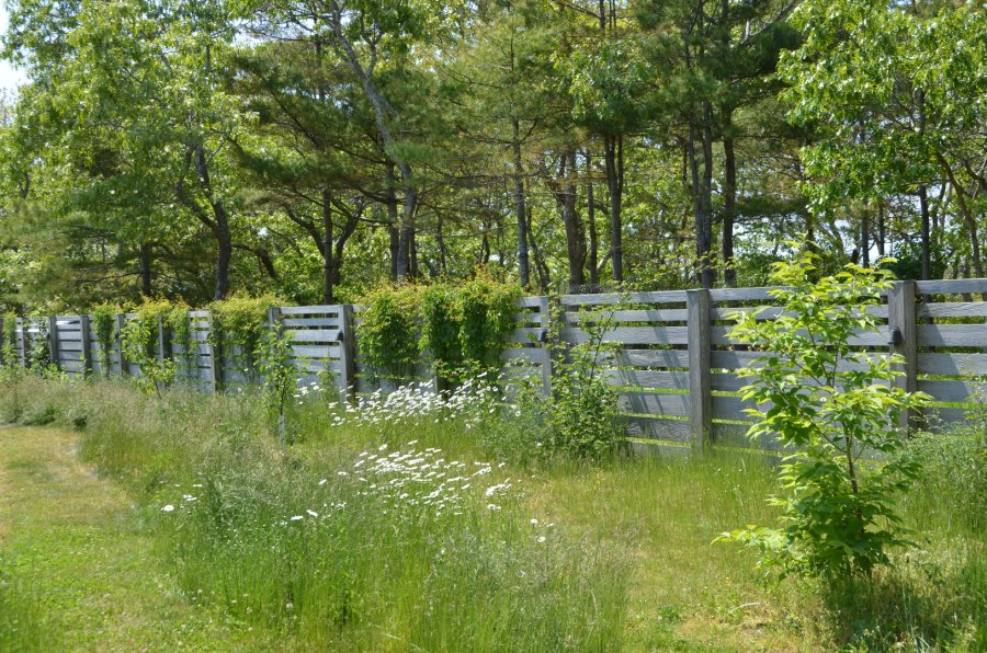 Property Photo 76