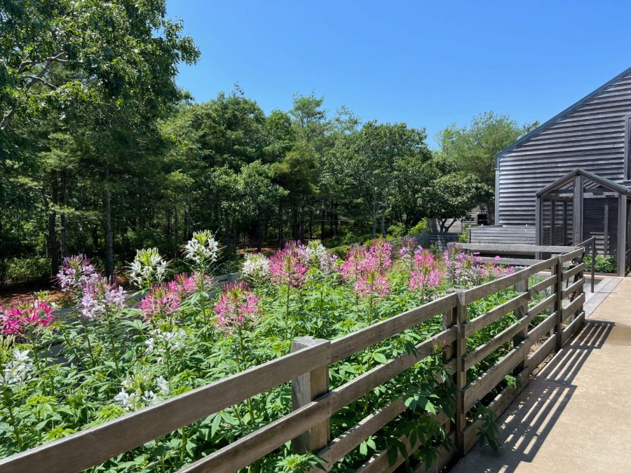 Property Photo 52