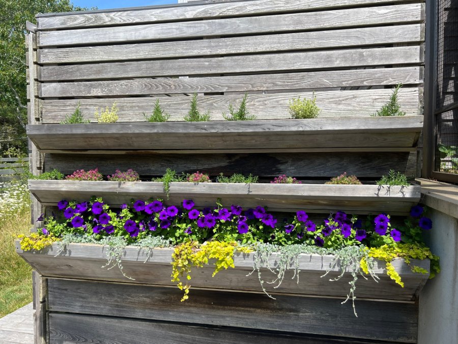 Property Photo 54