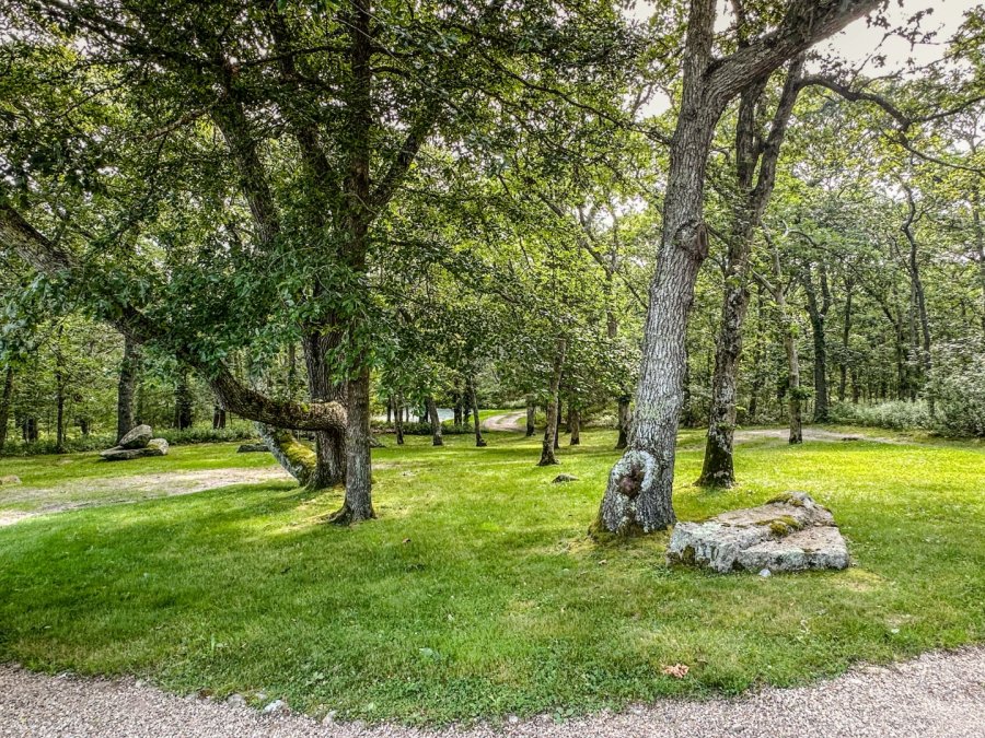 Property Photo 32