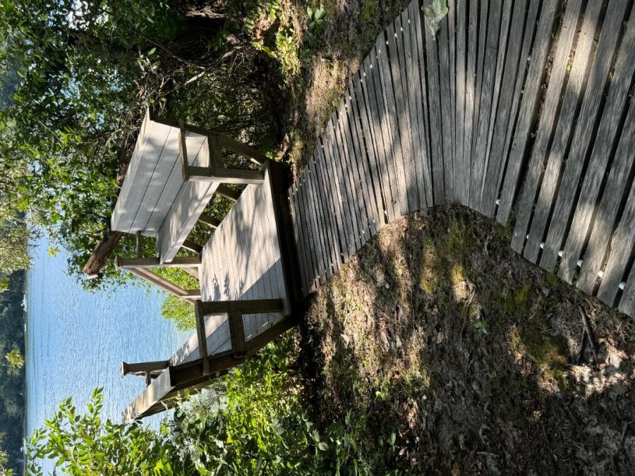 Property Photo 57