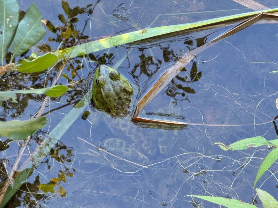 Property Photo 42