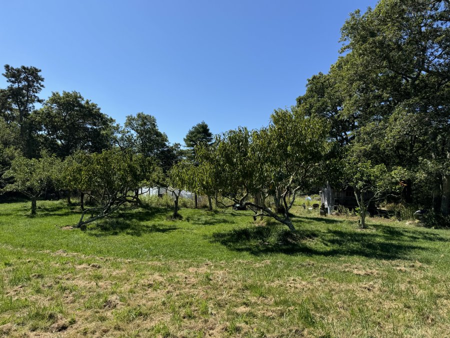 Property Photo 40