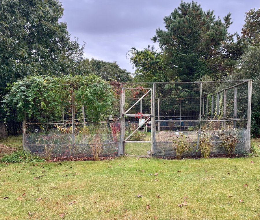 Property Photo 24