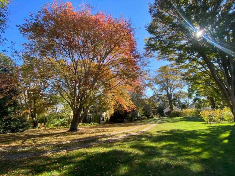 Property Photo 74