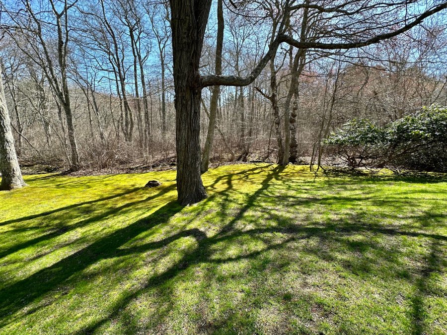 Property Photo 25