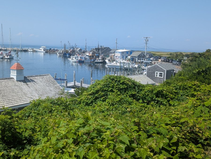 Property Photo 13