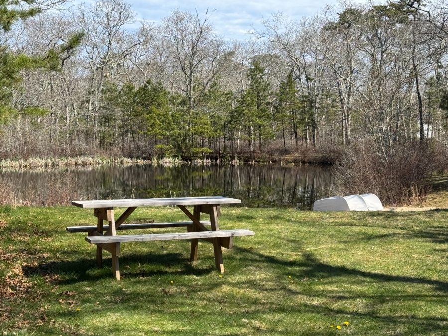 Property Photo 31
