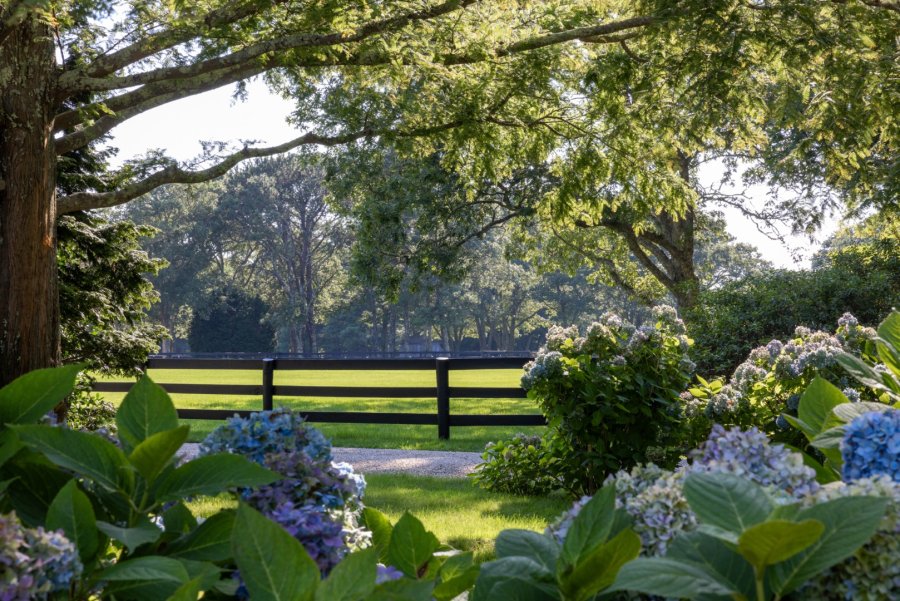 Property Photo 41