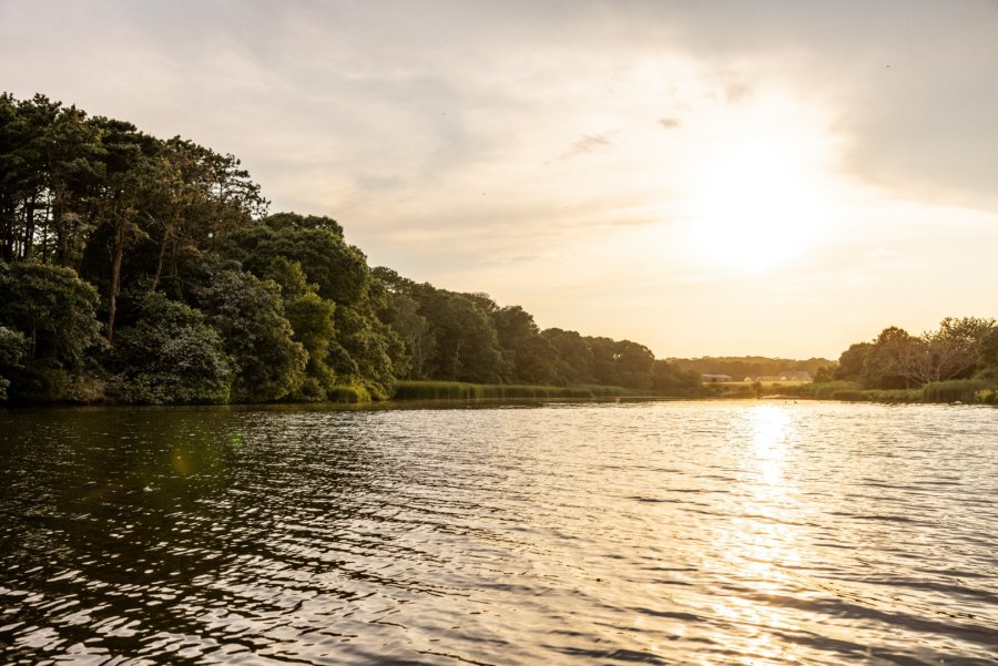 Property Photo 44