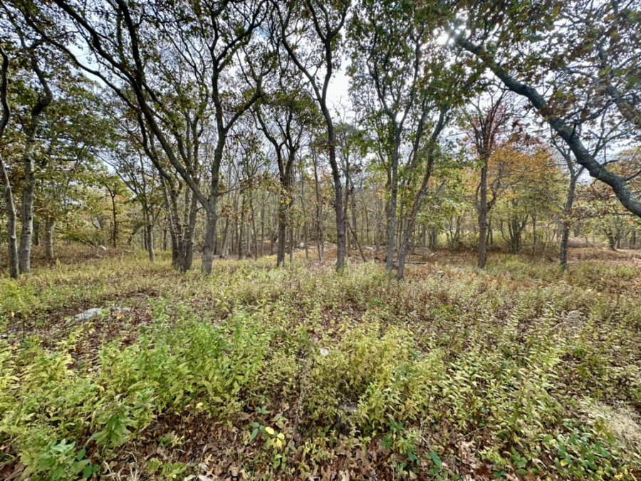 Property Photo 25
