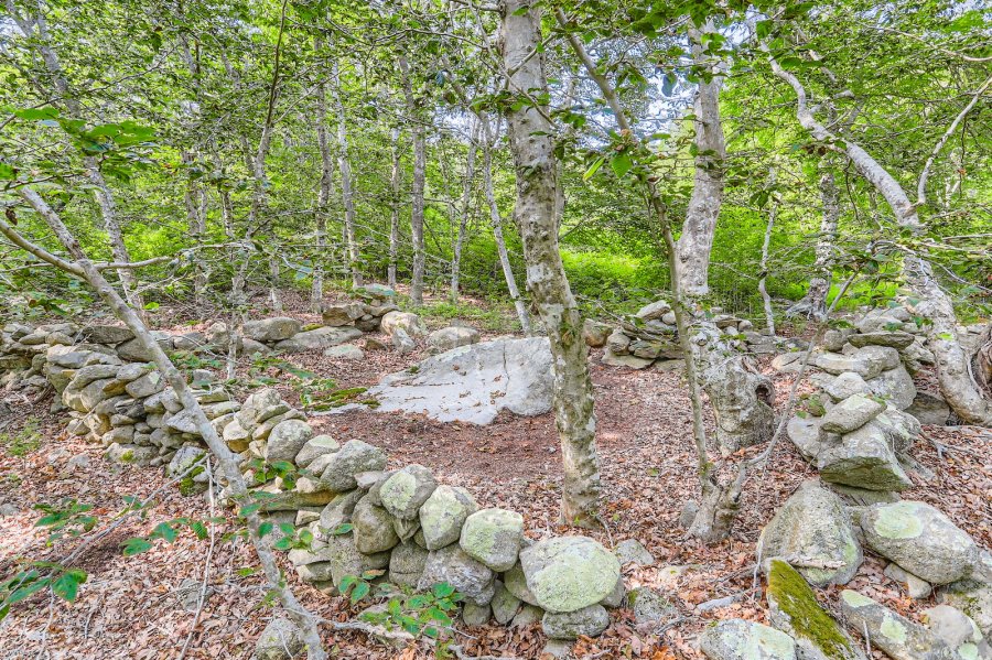 Property Photo 41