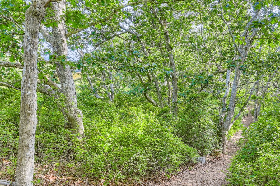 Property Photo 40