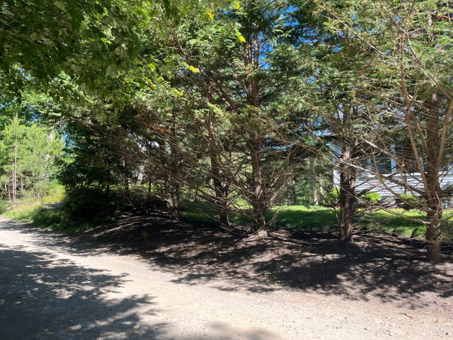 Property Photo 60