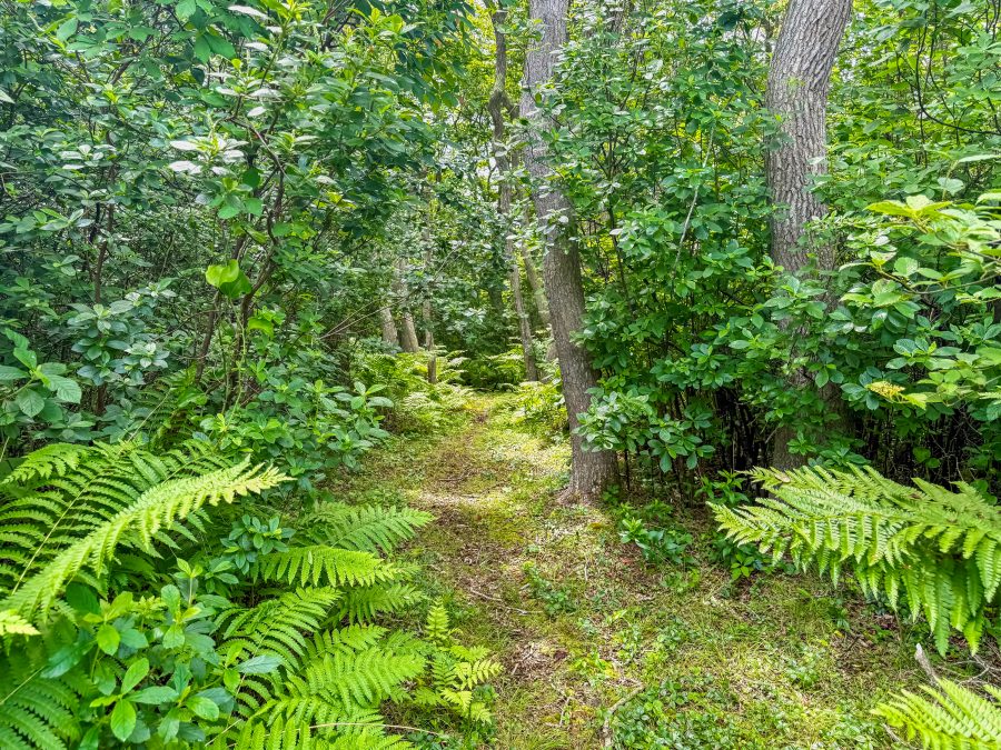 Property Photo 11