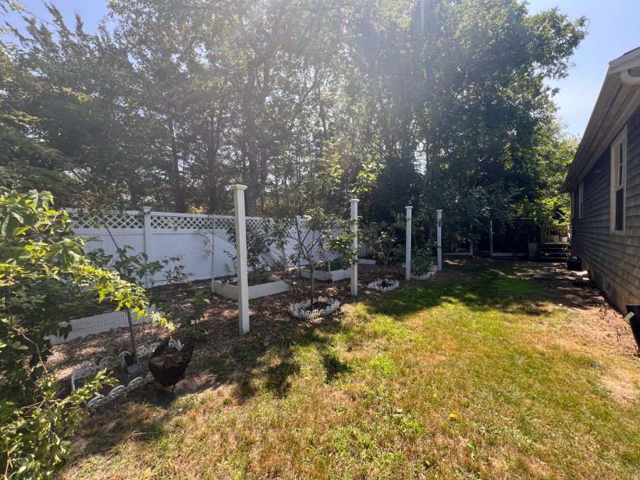 Property Photo 22