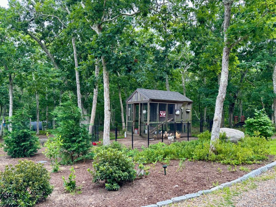 Property Photo 38