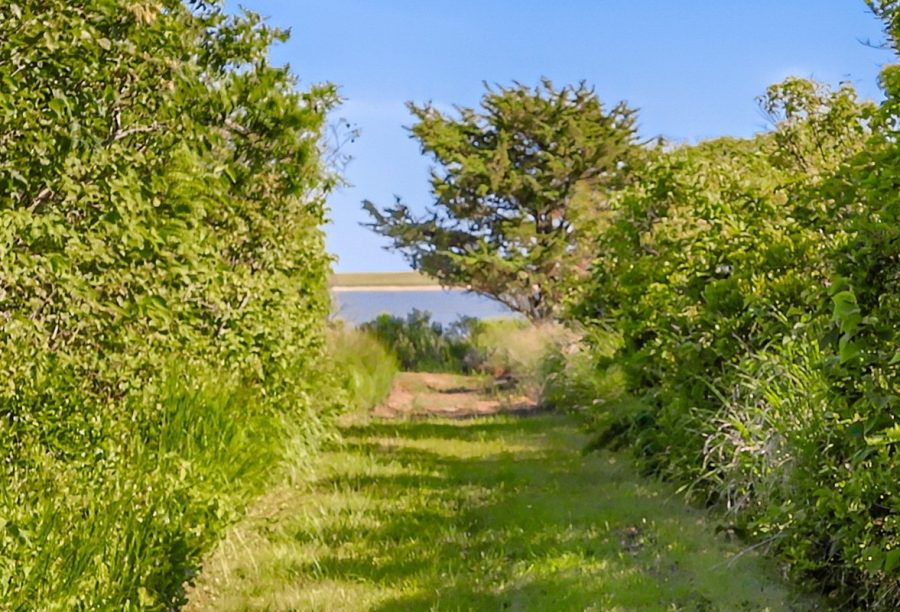 Property Photo 27