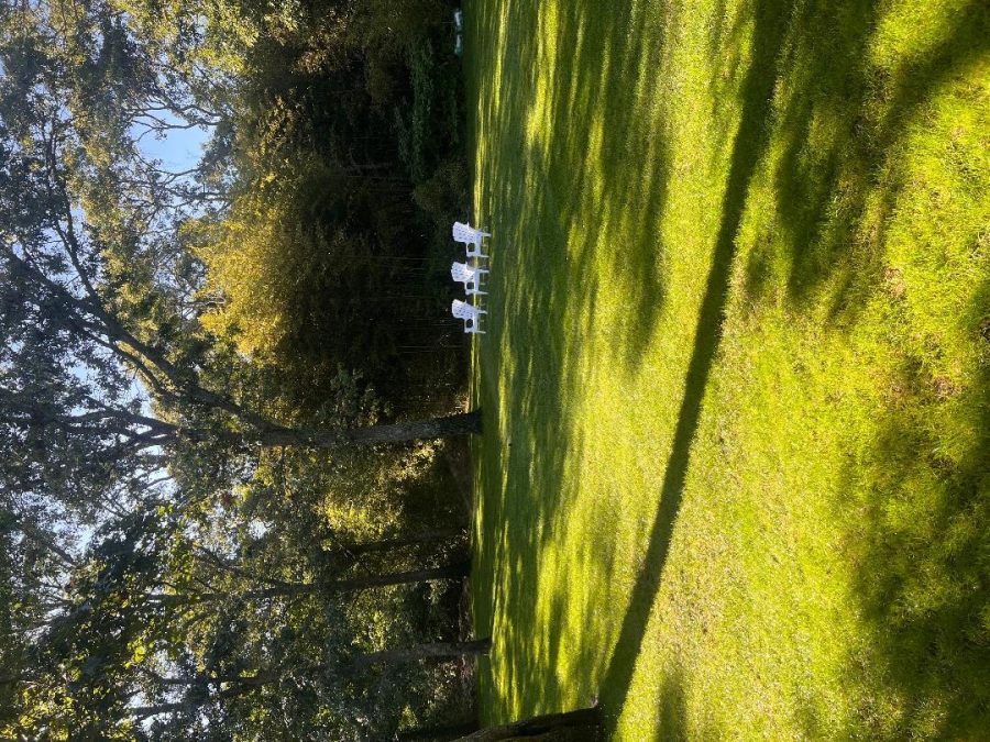 Property Photo 56