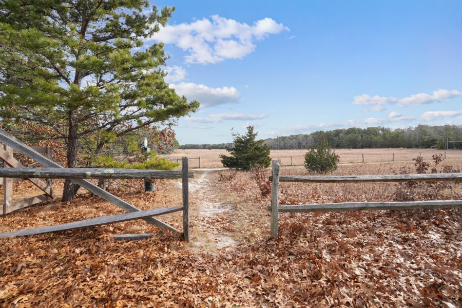 Property Photo 41