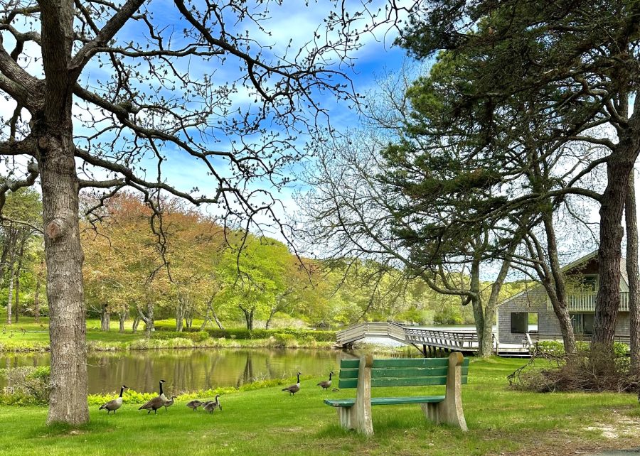 Property Photo 33