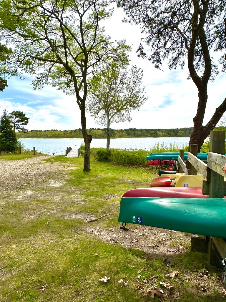 Property Photo 37