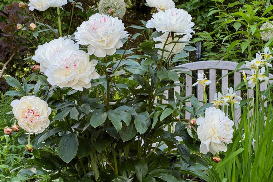 Property Photo 21