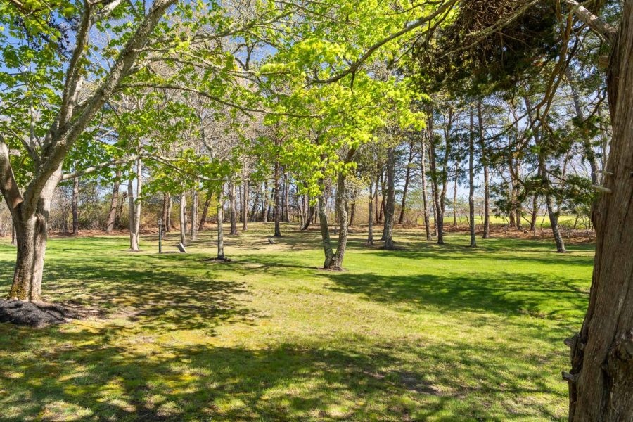 Property Photo 60
