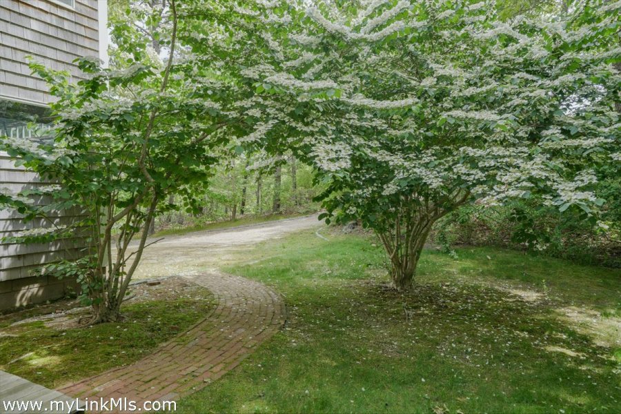 Property Photo 40