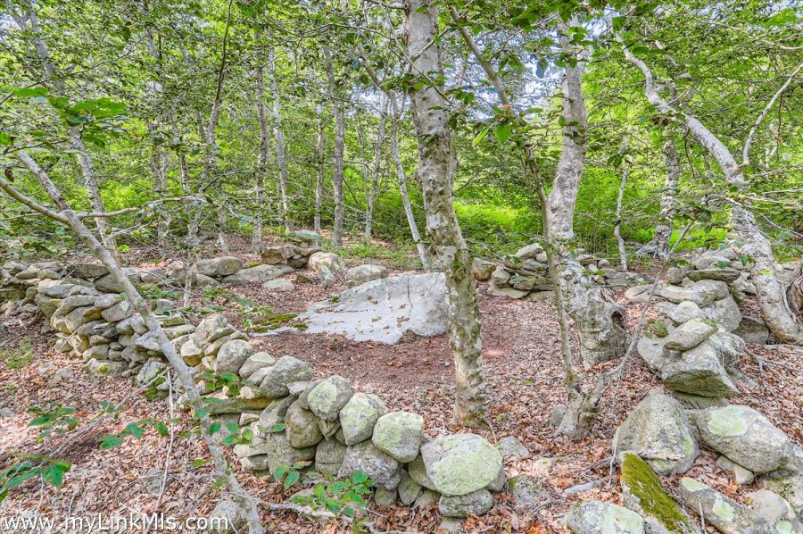 Property Photo 41