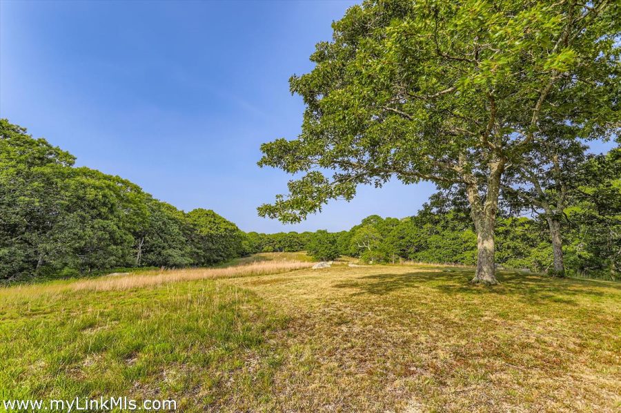 Property Photo 44