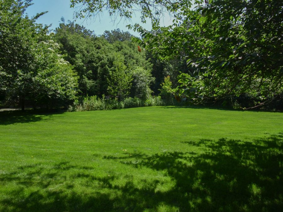 Property Photo 39