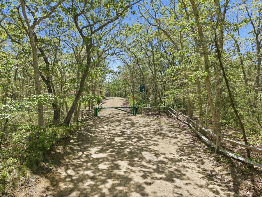 Property Photo 66